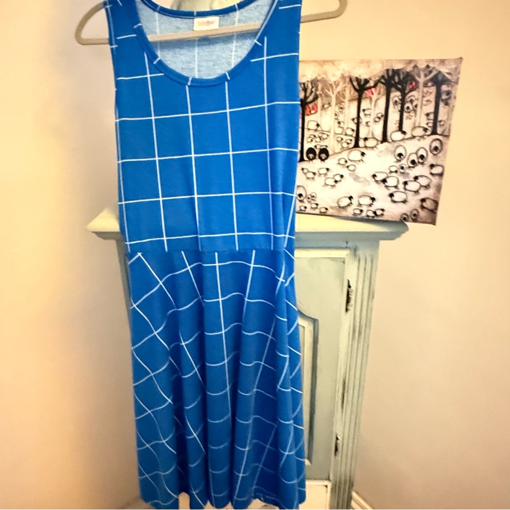 The item shown is a LuLaRoe Nicki sleeveless tank dress 👗 medium
